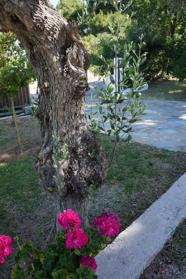 Villa Pefka Kalivia  Esterno foto